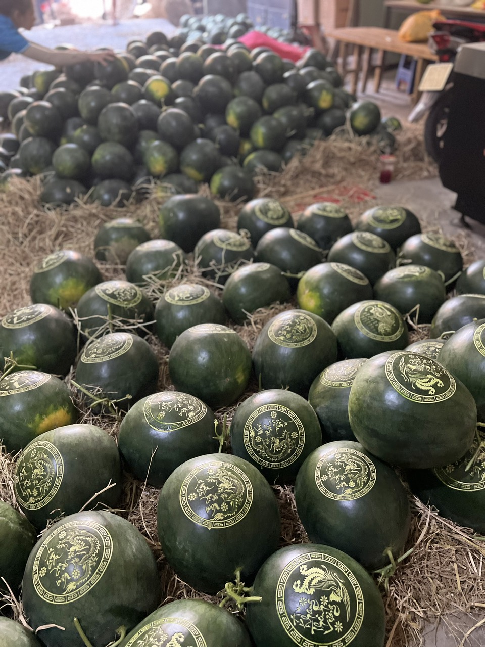 Nhận khắc laser dưa hấu theo yêu cầu – Xu hướng trang trí và quà Tết độc đáo